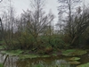 keersop20241116