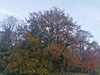 keersop20241118