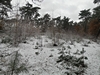 keersop20241120