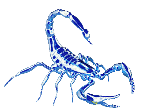 scorpio