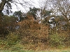 keersop20241124
