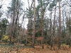 keersop20241125