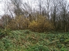 keersop0241126