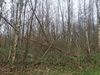 keersop0241126