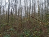 keersop0241126