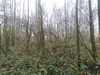 keersop0241126
