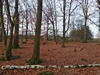 keersop20241203