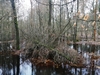keersop20241209