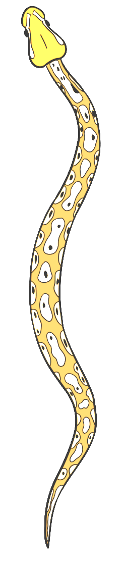 ophiuchus